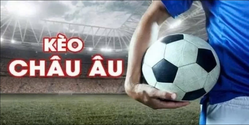 Kèo Châu Âu 77Win - Tỷ Lệ Đơn Giản Dễ Chơi Dễ Hiểu Bí quyết cược kèo châu Âu từ dân chuyên