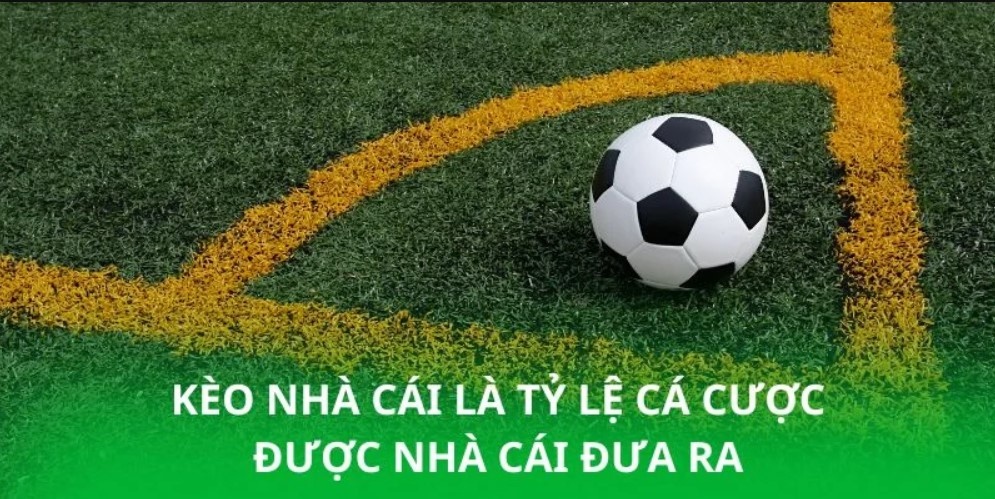 Kèo Nhà Cái 77Win - Thông Tin Chi Tiết Từ A-Z Cho Hội Viên Tham gia chơi cược số quả phạt góc